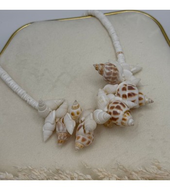 Colar conchas